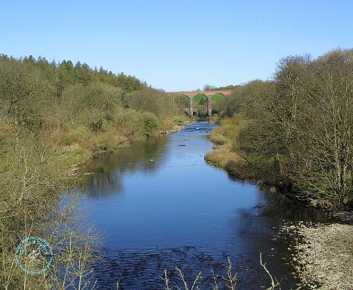 River in Kirkcudbrightshire 8R26D-08.JPG